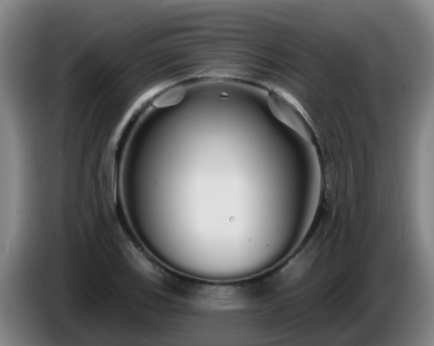 X0000086781123200704201819