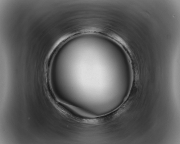 X0000086781124200704201819