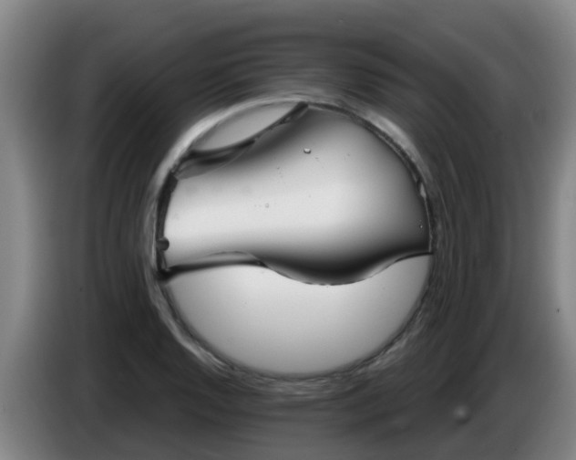 X0000086781128200704201819