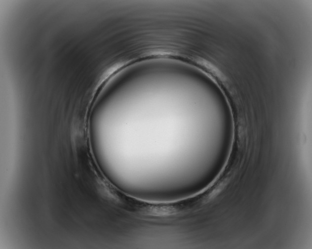 X0000086781129200704201819