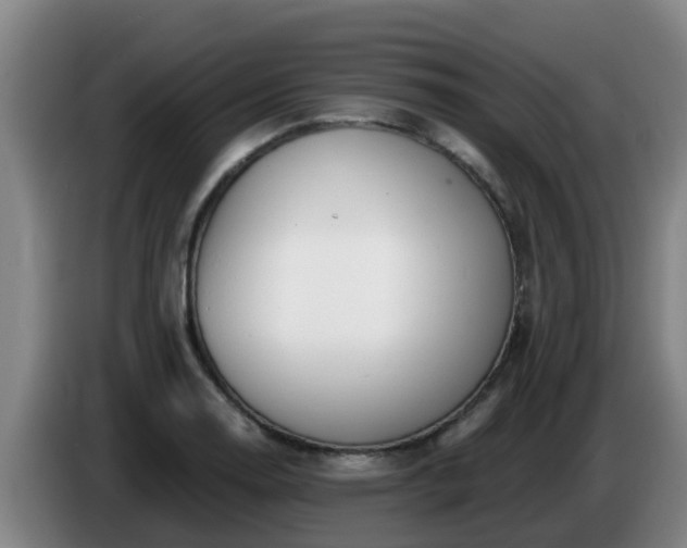 X0000086781130200704201819