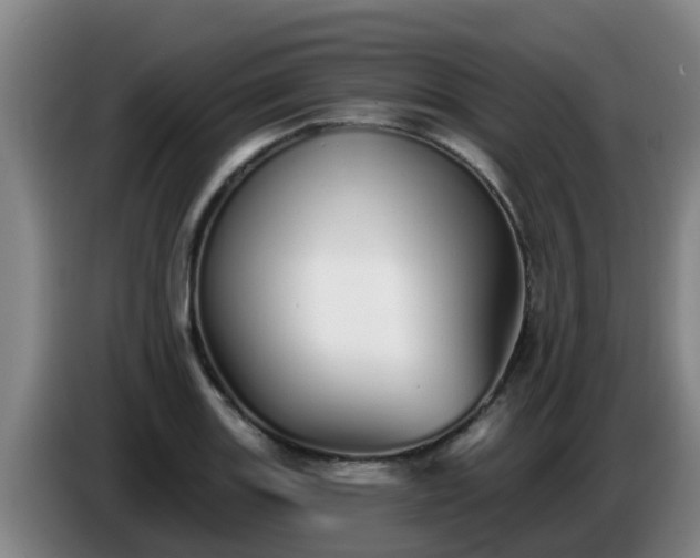 X0000086781131200704201819