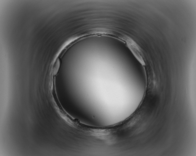 X0000086781132200704201819