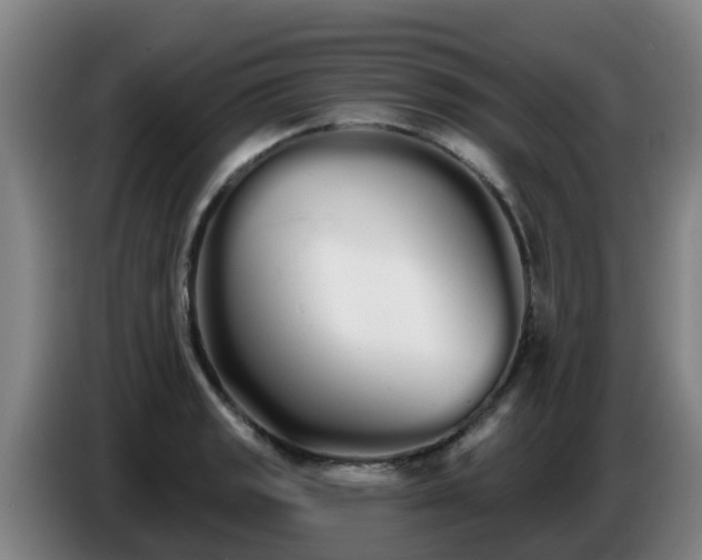 X0000086781133200704201819