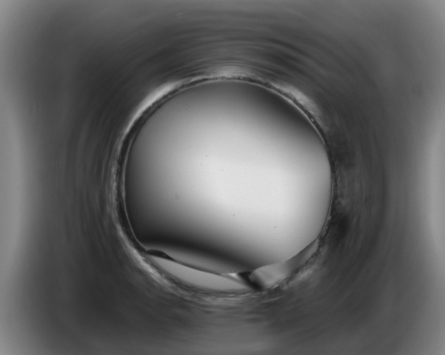 X0000086781134200704201819