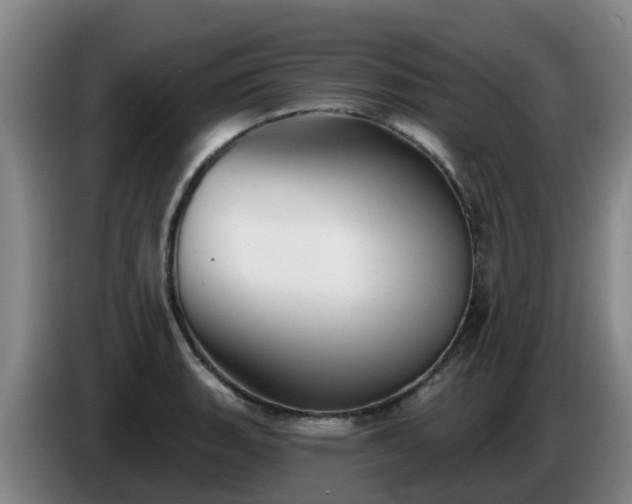 X0000086781135200704201819