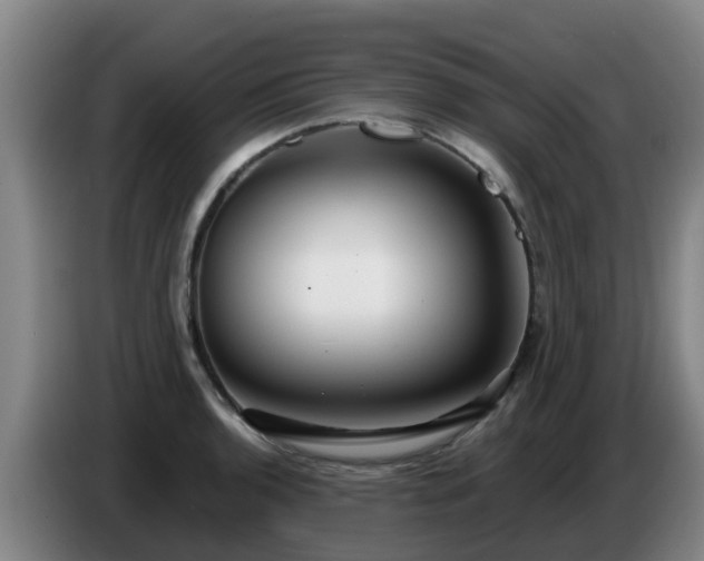 X0000086781136200704201819