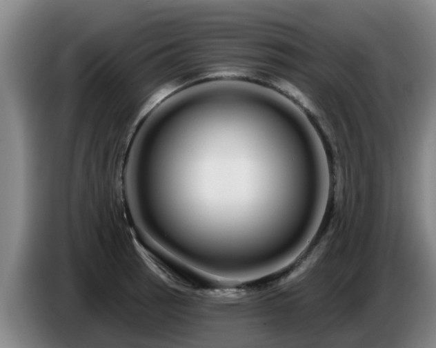 X0000086781137200704201819