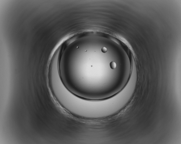 X0000086781138200704201819