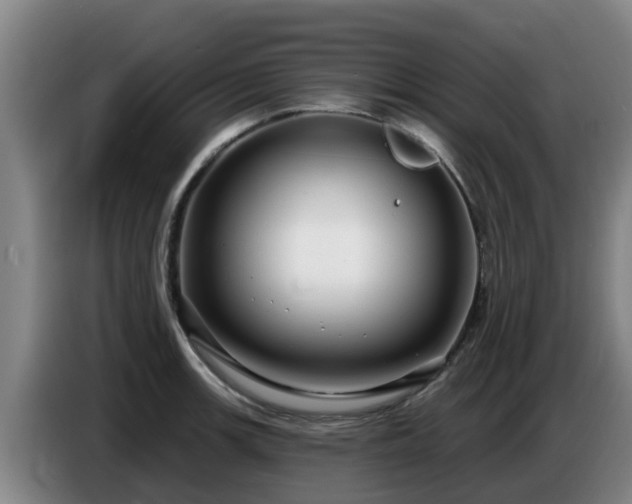 X0000086781139200704201819