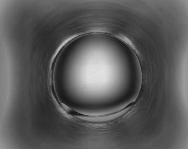 X0000086781140200704201819