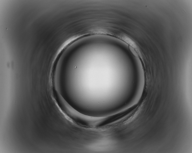 X0000086781141200704201819