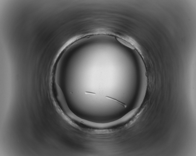 X0000086781142200704201819