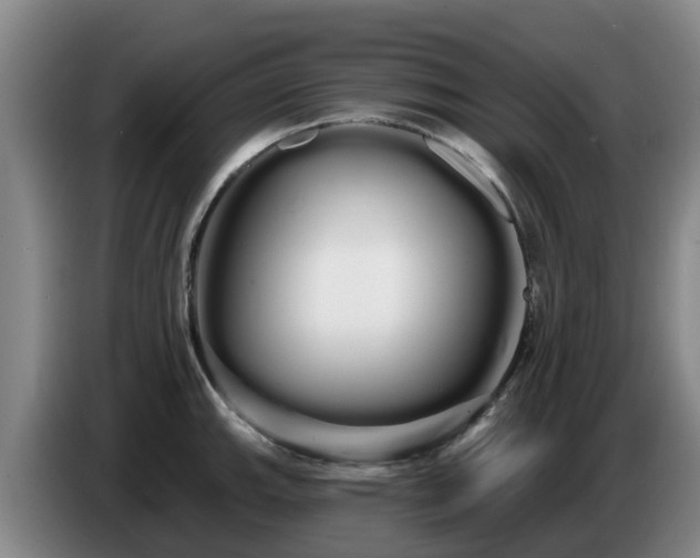 X0000086781143200704201819