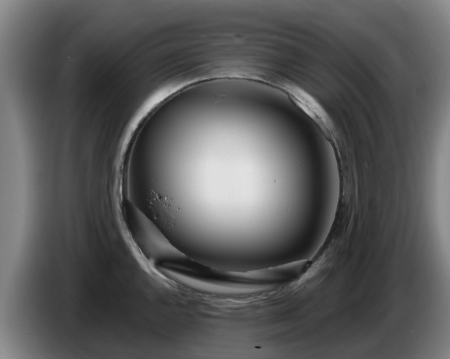 X0000086781144200704201819