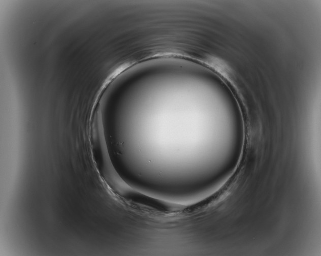 X0000086781145200704201819