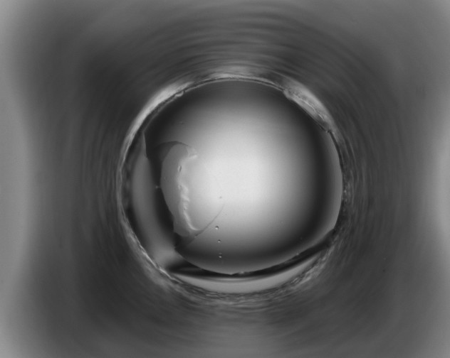 X0000086781146200704201819