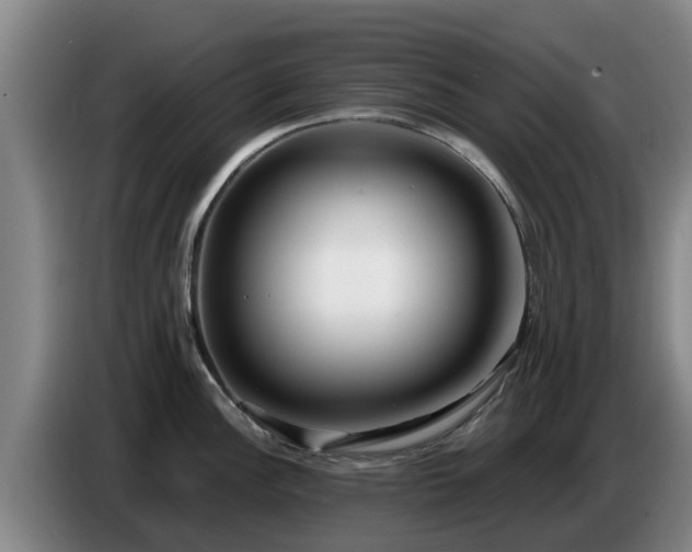 X0000086781148200704201819