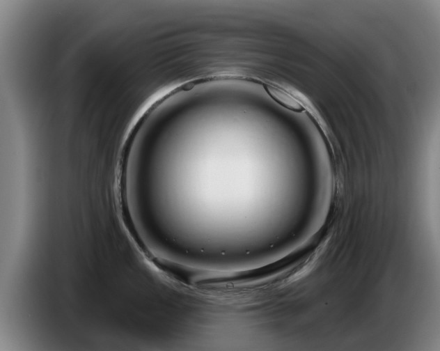 X0000086781149200704201819