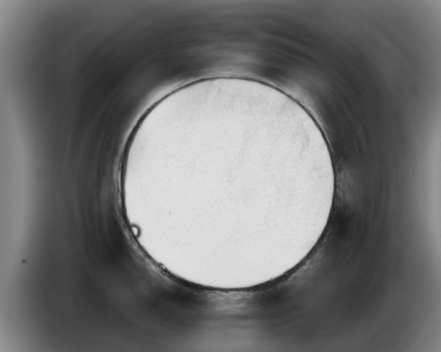 X0000086781150200704201819