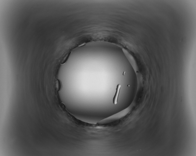 X0000086781153200704201818