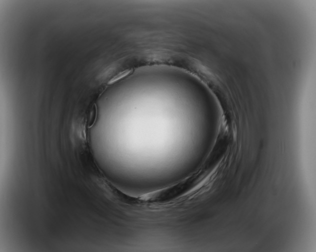 X0000086781155200704201818