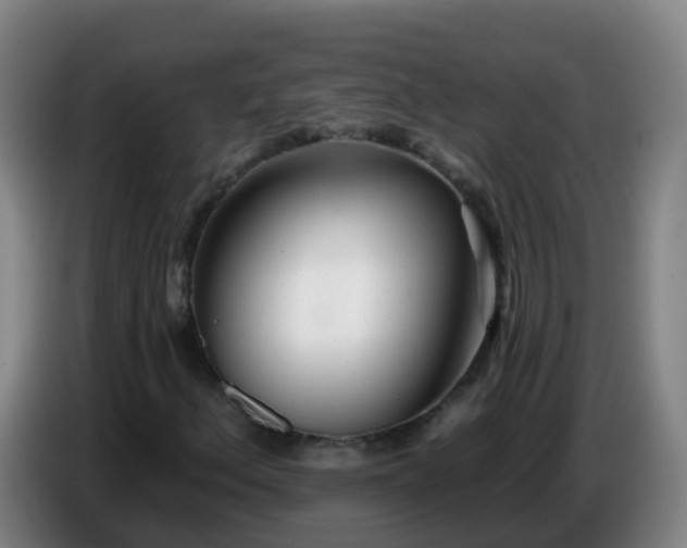 X0000086781156200704201818