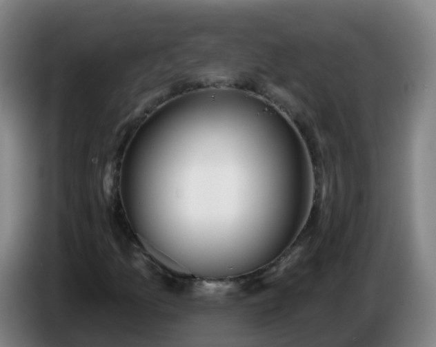 X0000086781157200704201818