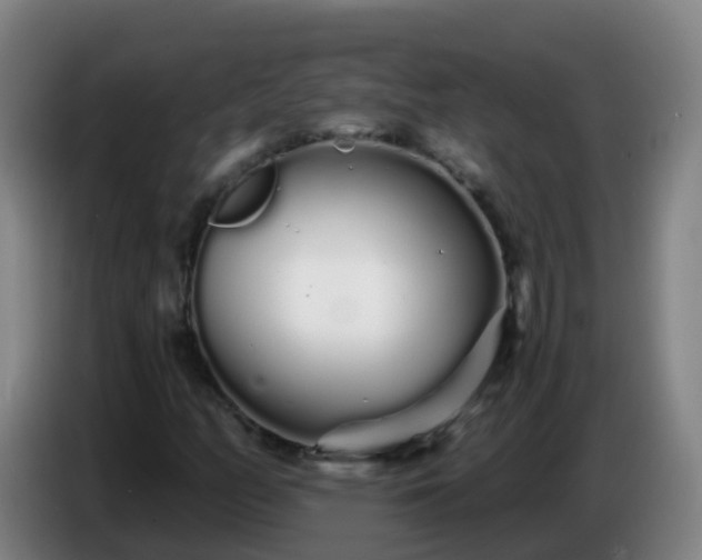 X0000086781158200704201818