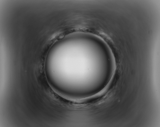 X0000086781159200704201818