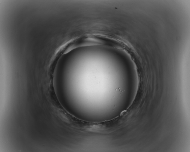 X0000086781160200704201818