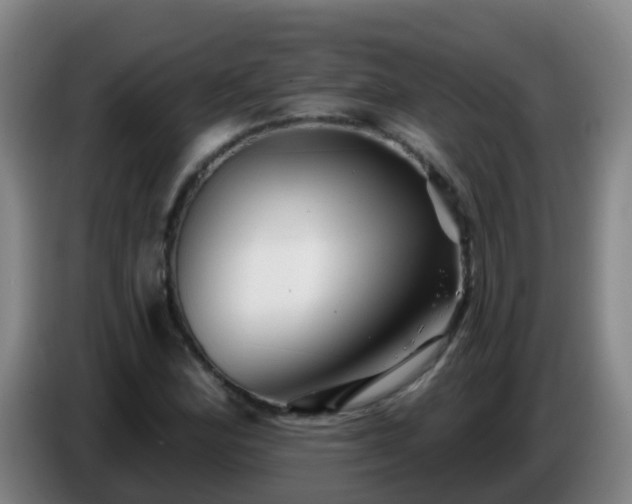 X0000086781164200704201818