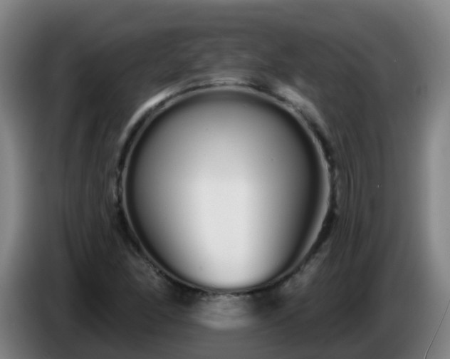 X0000086781166200704201818