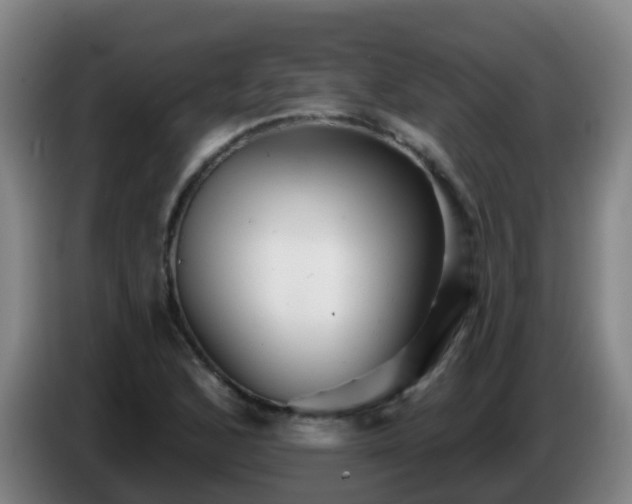 X0000086781168200704201818