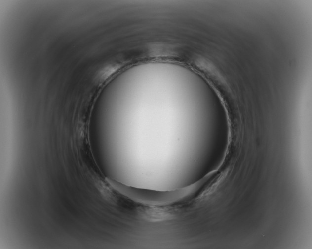 X0000086781169200704201818