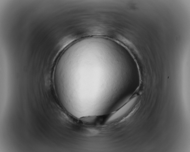 X0000086781170200704201818