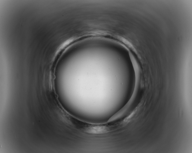 X0000086781171200704201818