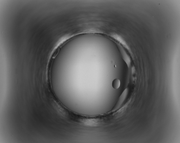 X0000086781173200704201818