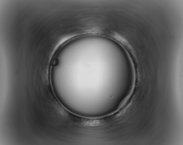 X0000086781174200704201818