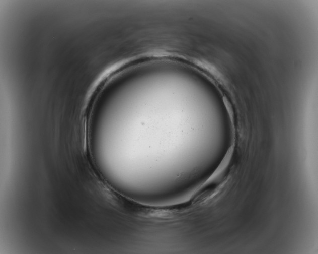 X0000086781175200704201818