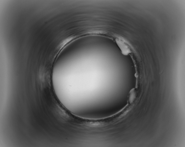 X0000086781177200704201818