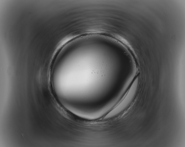 X0000086781179200704201818