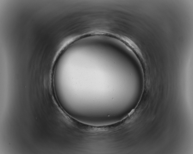 X0000086781183200704201818