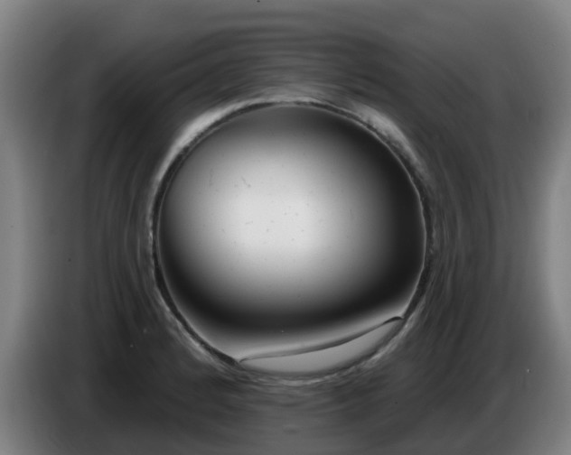 X0000086781184200704201818