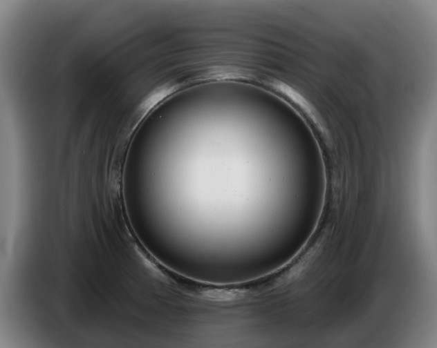 X0000086781185200704201818