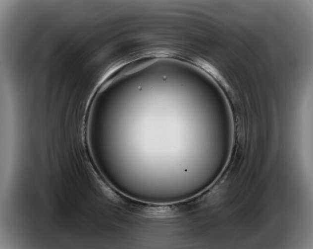 X0000086781186200704201818