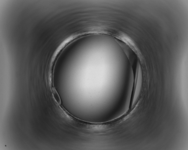 X0000086781188200704201818