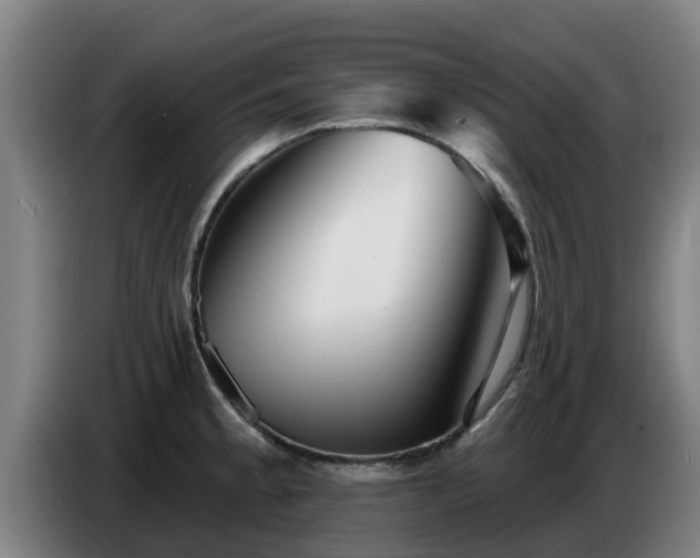 X0000086781189200704201818