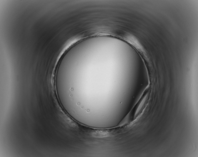 X0000086781190200704201818