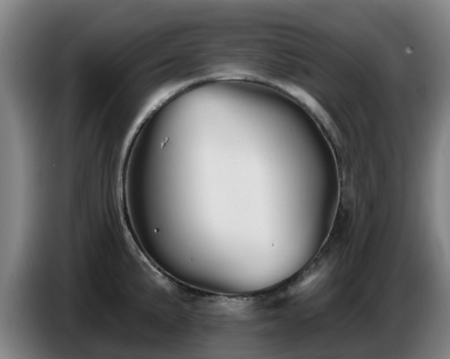 X0000086781191200704201818